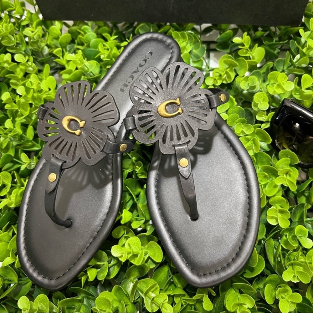 Coach Black Sandals with Sleek Design - Picture 9 of 13